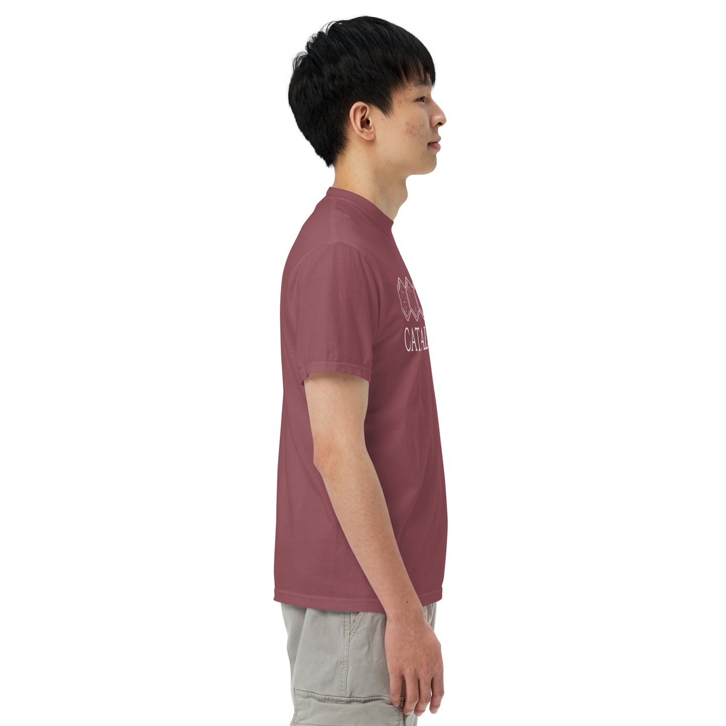 Catalyst - Printed Unisex Comfort Colors heavyweight t-shirt