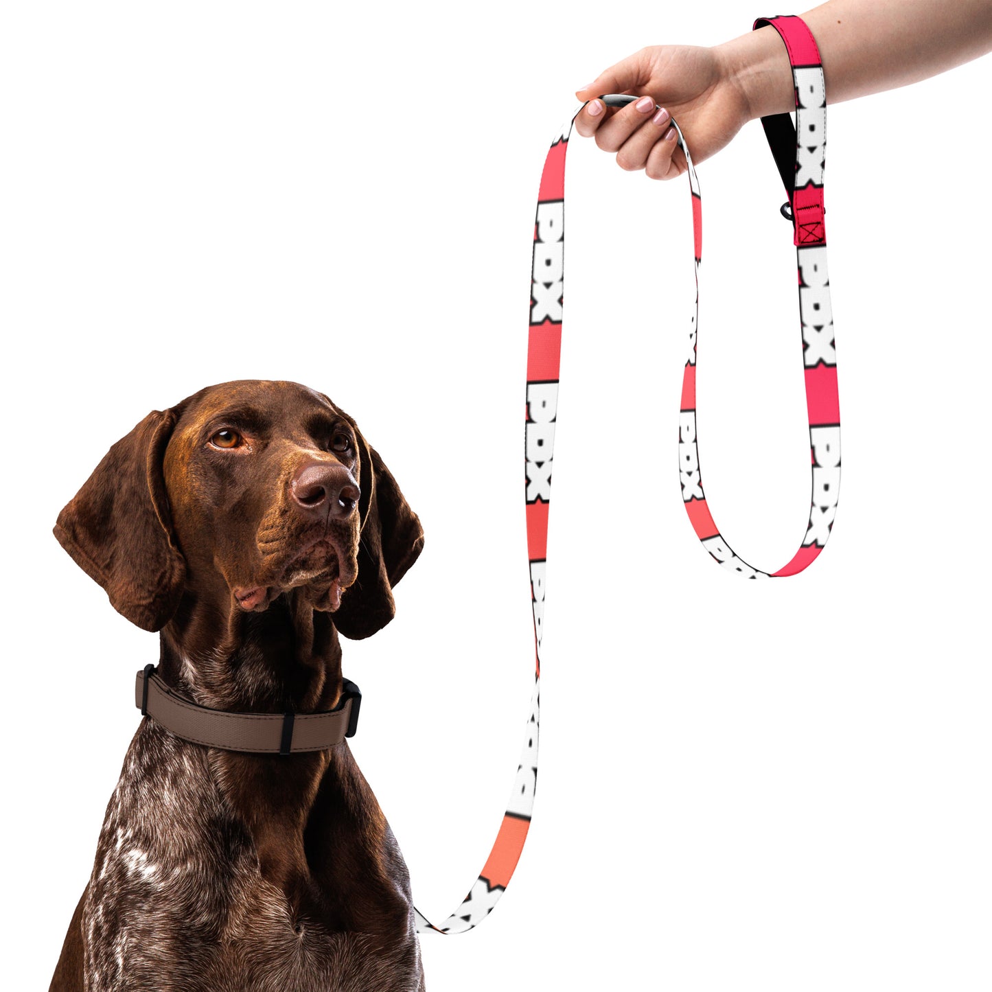 PDX - Printed Pet leash