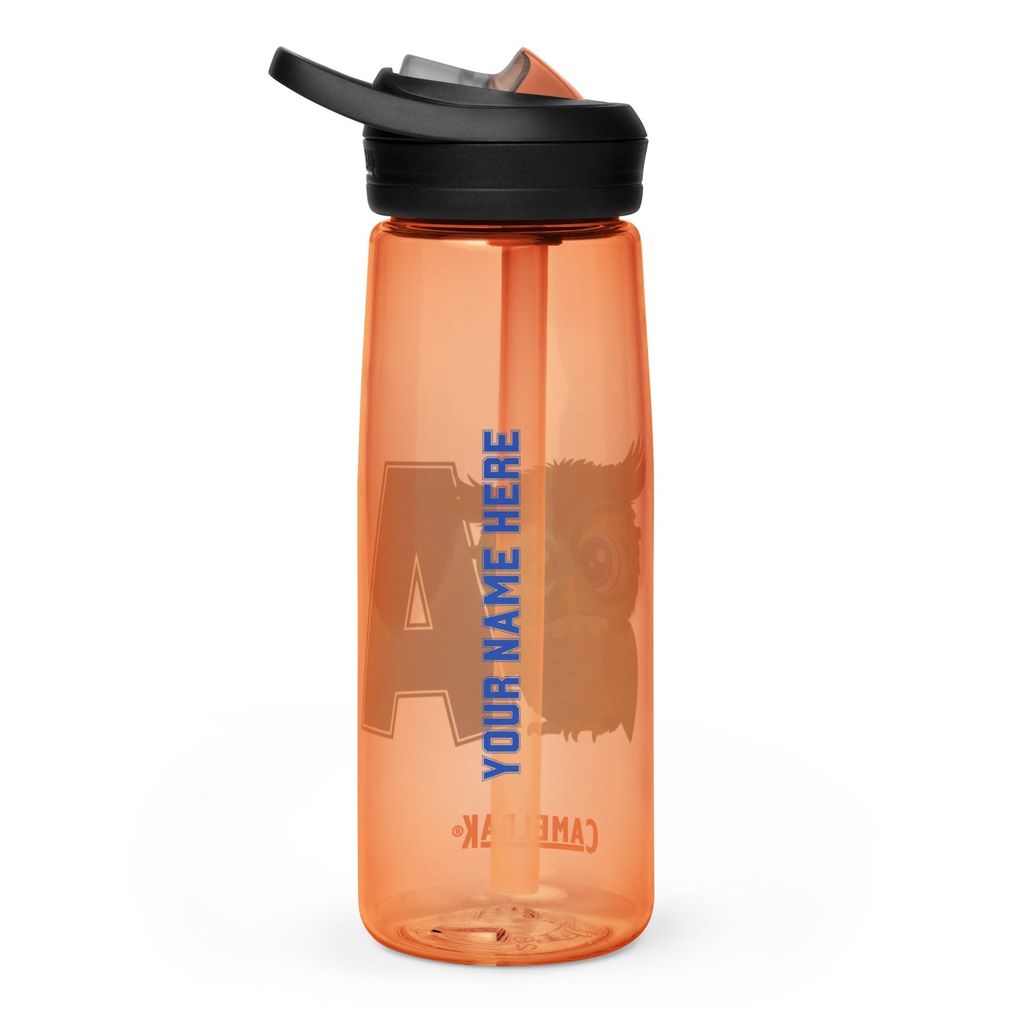 Audubon Owls - Eddy Camelbak Sports water bottle