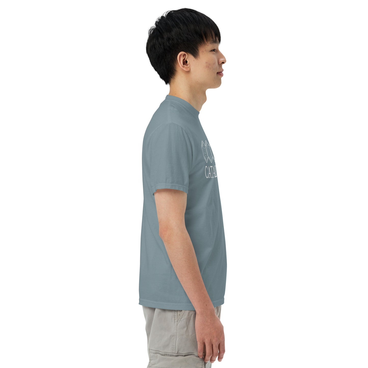 Catalyst - Printed Unisex Comfort Colors heavyweight t-shirt