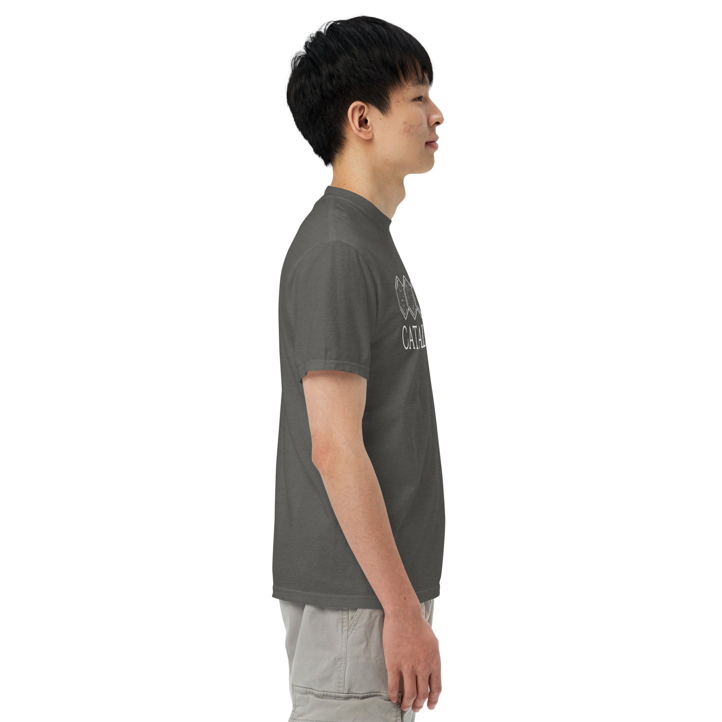 Catalyst - Printed Unisex Comfort Colors heavyweight t-shirt