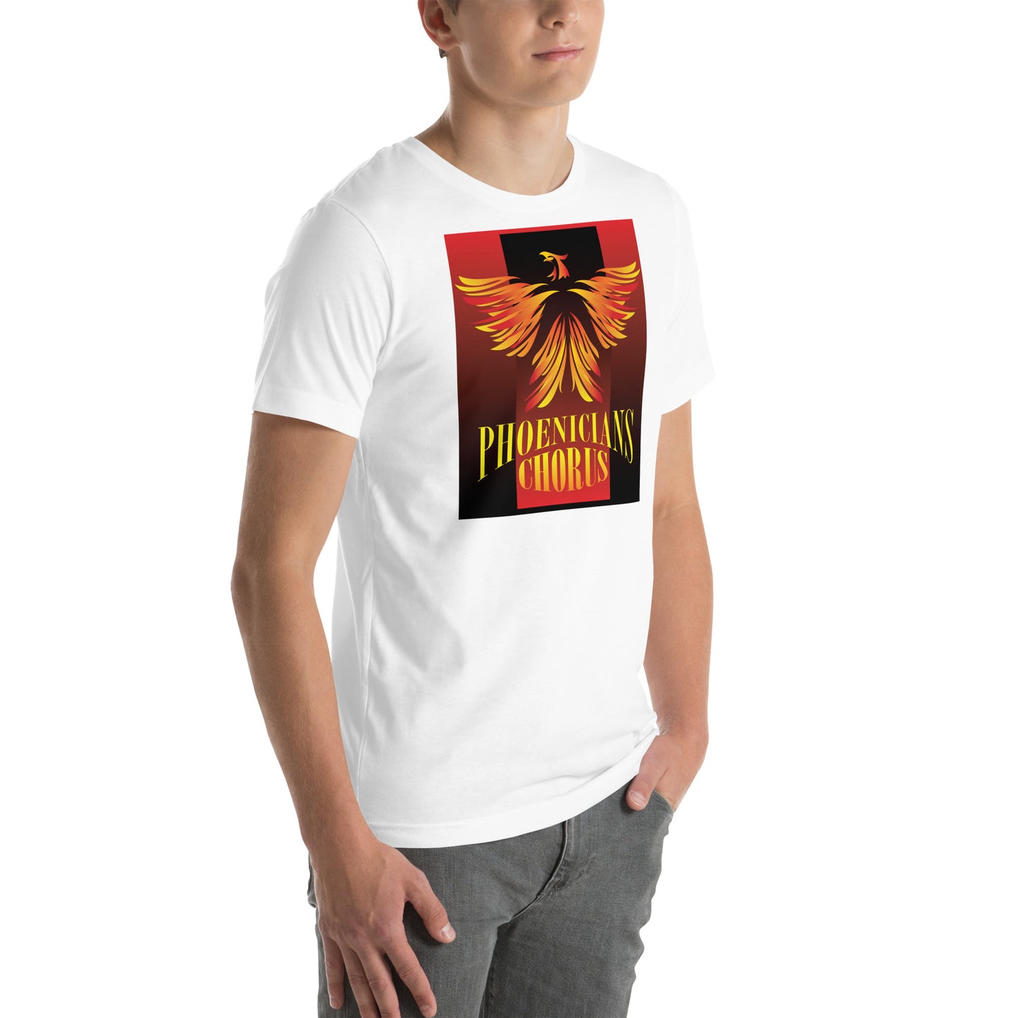 Phoenicians Printed Unisex t-shirt