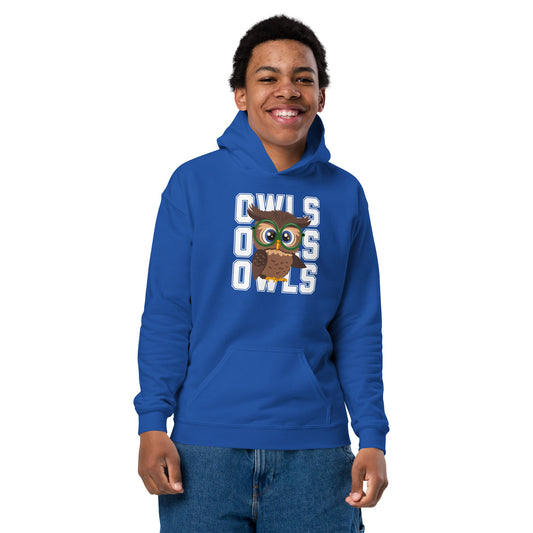 Audubon Owls - Unisex Youth heavy blend hoodie