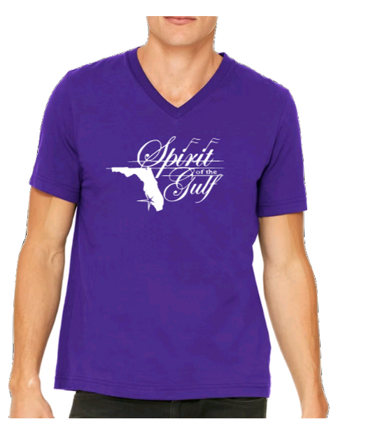 Spirit of the Gulf - Unisex V-Neck Tshirt